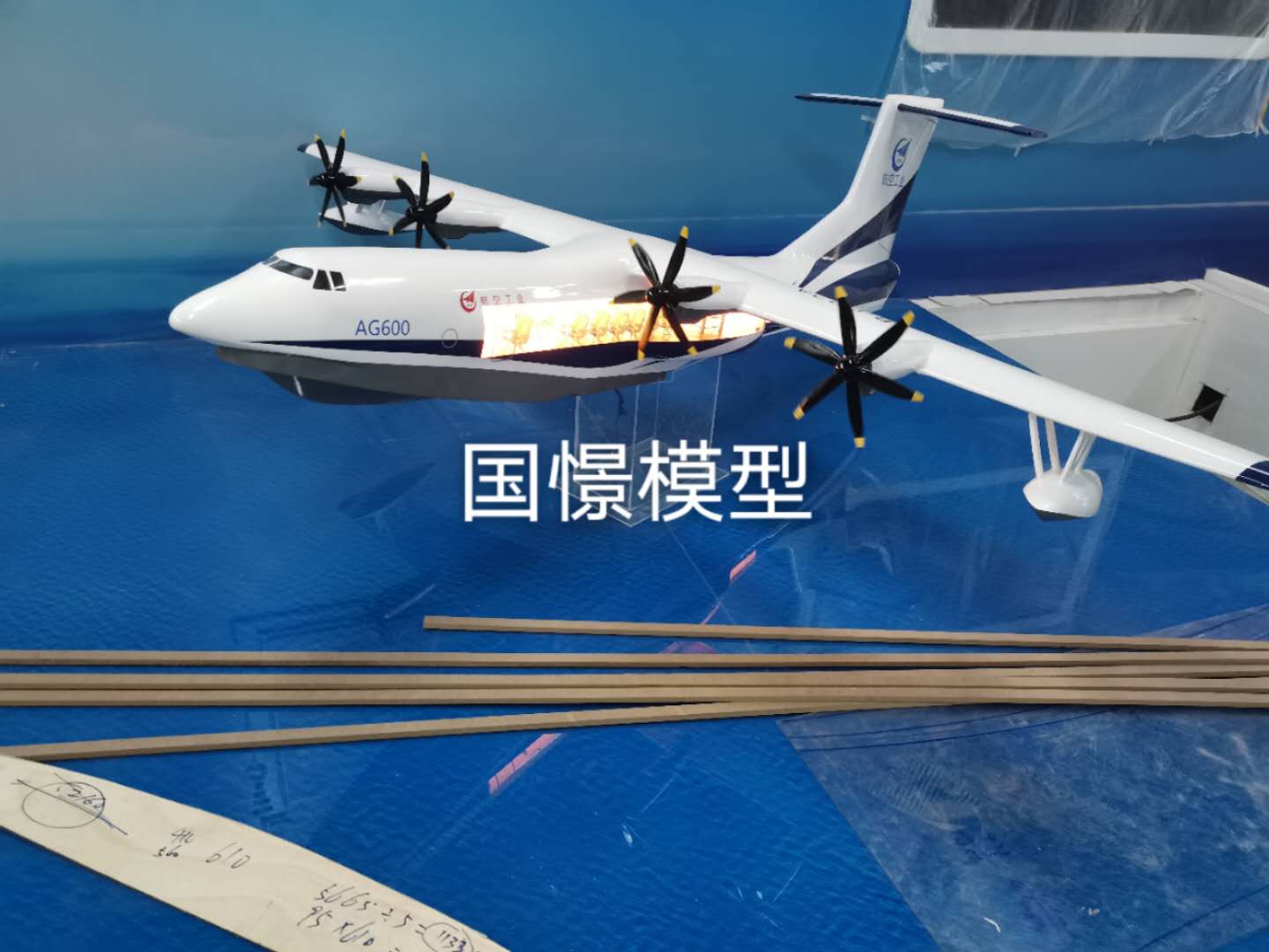 昭平县飞机模型