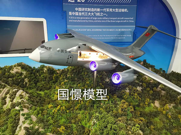 昭平县飞机模型